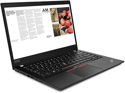 Lenovo Thinkpad T490